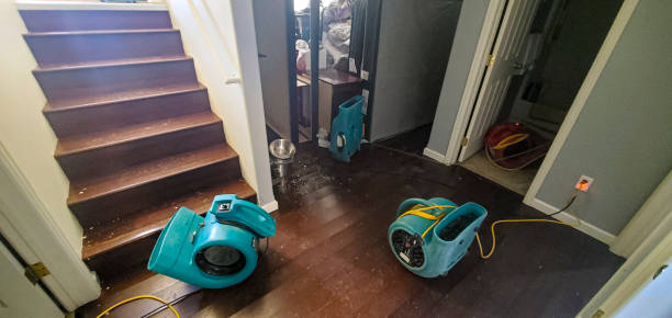 Best Fire Damage Restoration  in Brookhaven, PA