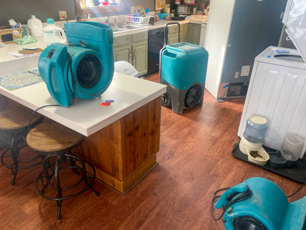 Best Commercial water damage restoration  in Brookhaven, PA