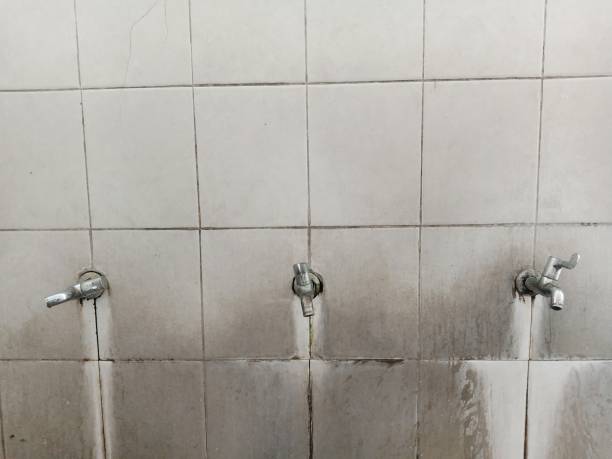 Best Flood damage cleanup  in Brookhaven, PA