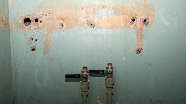 Best Basement water damage restoration  in Brookhaven, PA