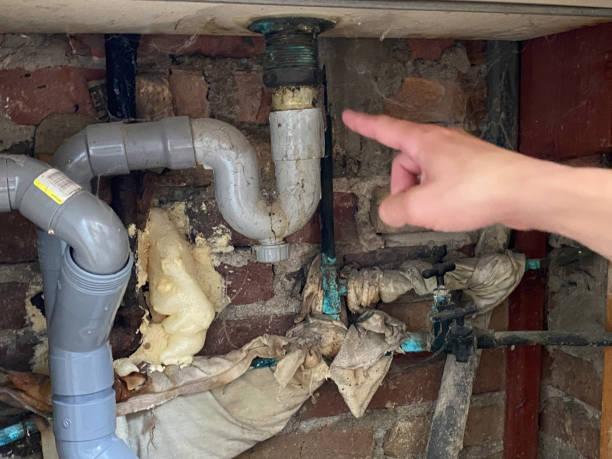 Best Ceiling water damage repair  in Brookhaven, PA