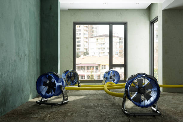 Best Water damage restoration near me  in Brookhaven, PA