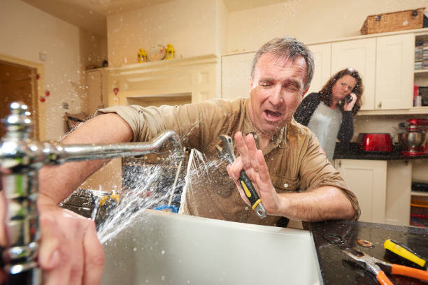 Best Local water damage restoration  in Brookhaven, PA